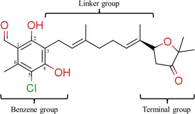 Selective Cytotoxicity of Dihydroorotate Dehydrogenase Inhibitors to Human Cancer Cells Under Hypoxia and Nutrient-Deprived Conditions